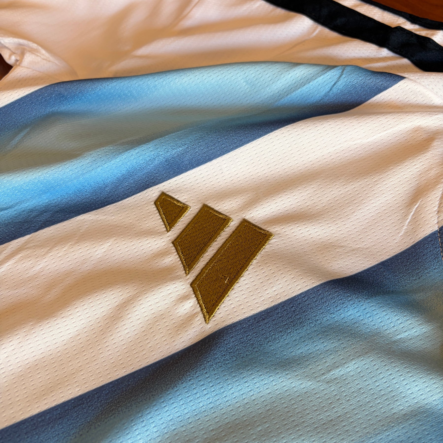 ARGENTINA MESSI 10