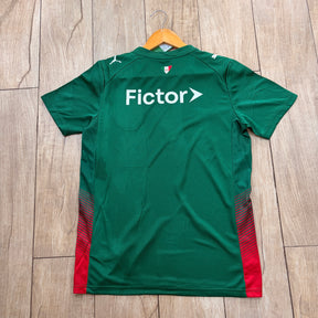 PALMEIRAS 2027 VERDE