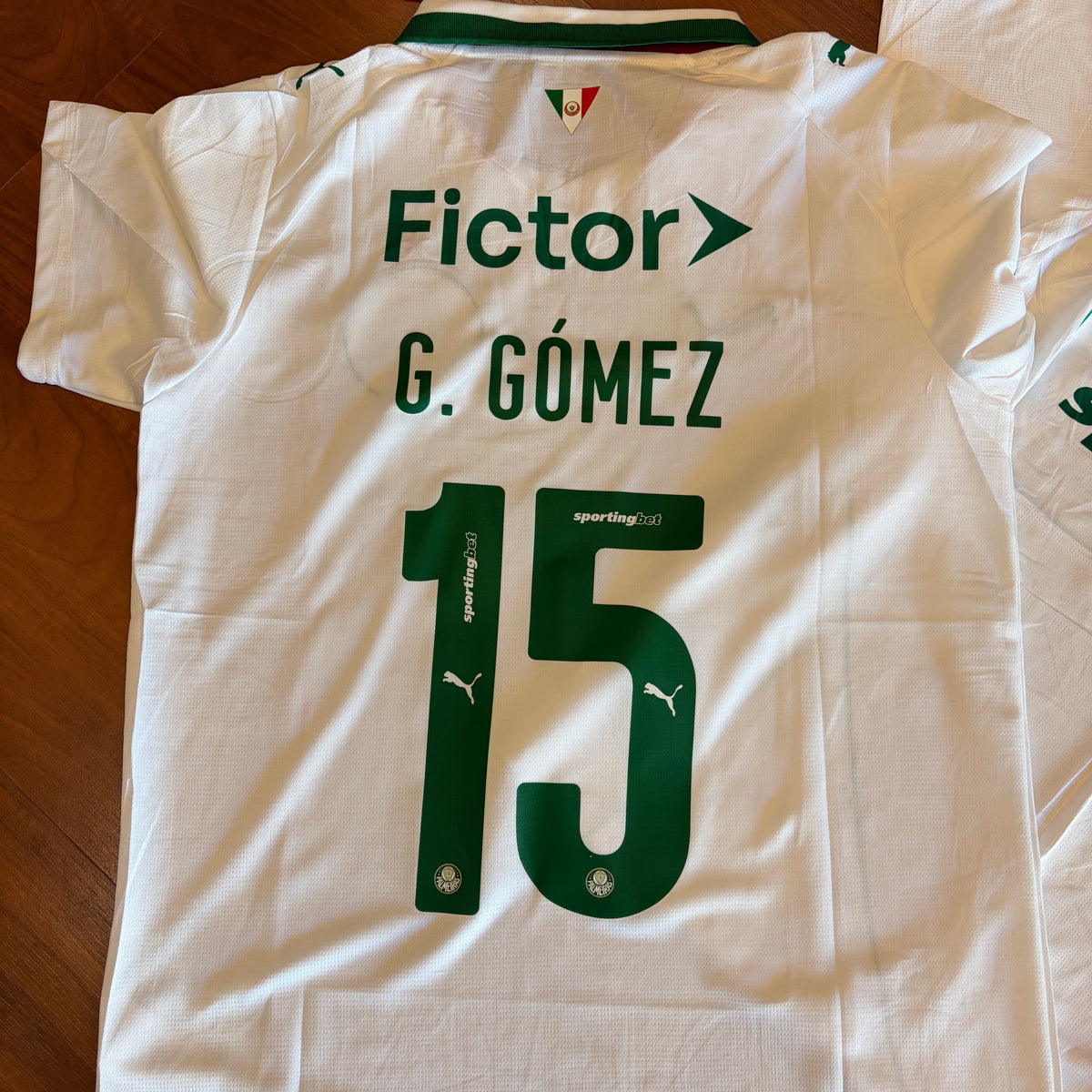 PALMEIRAS 2027 G. GÓMEZ