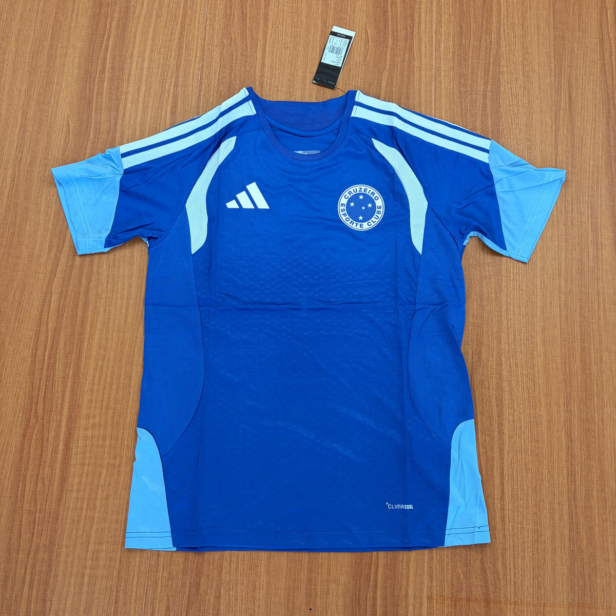Cruzeiro Treino