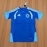 Cruzeiro Treino