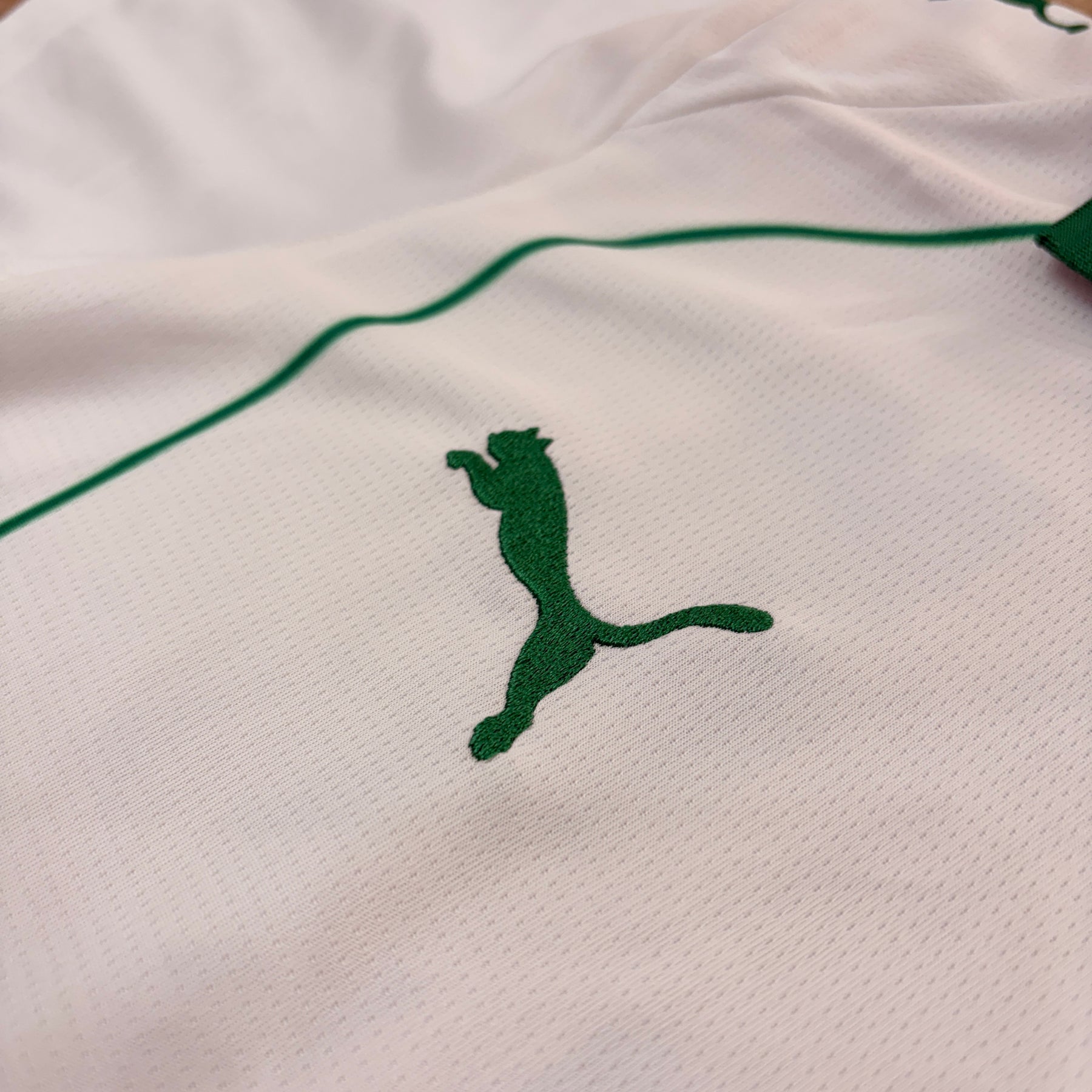 PALMEIRAS 2027 BRANCA