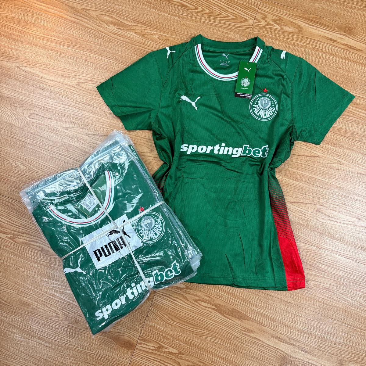Palmeiras Feminina 10 Camisas