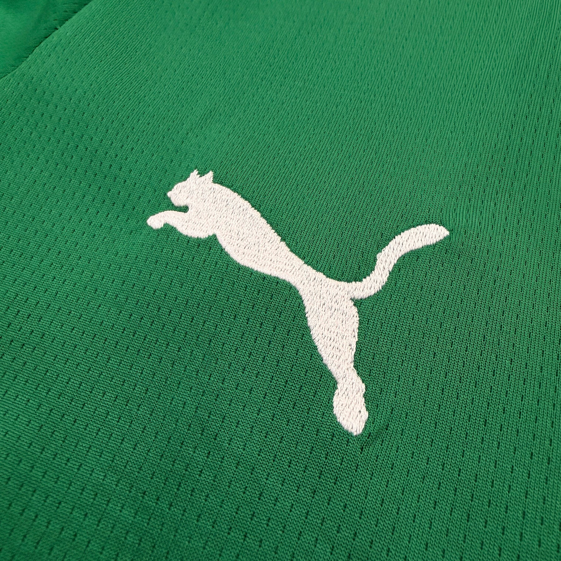 PALMEIRAS 2027 VERDE