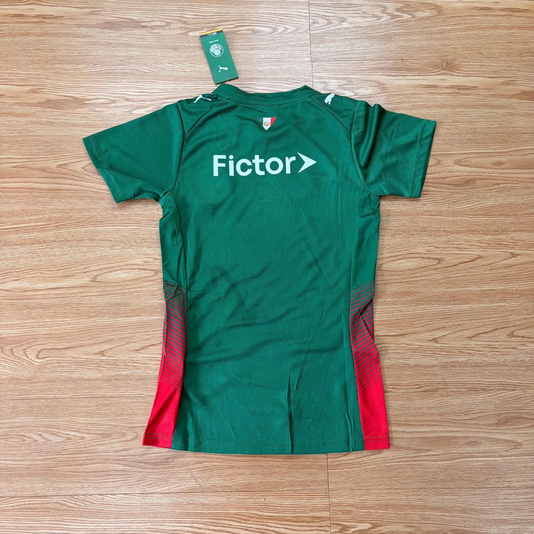 Palmeiras Verde 2027 FEMININA