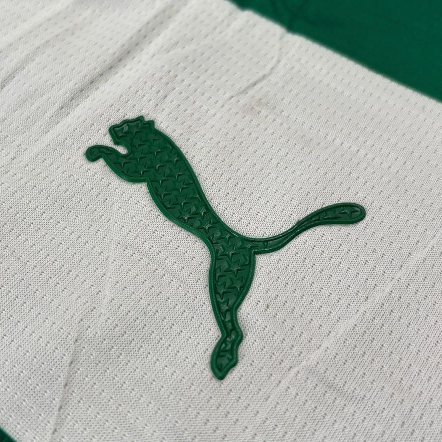 PALMEIRAS VERSÃO JOGADOR - Imagem 3
